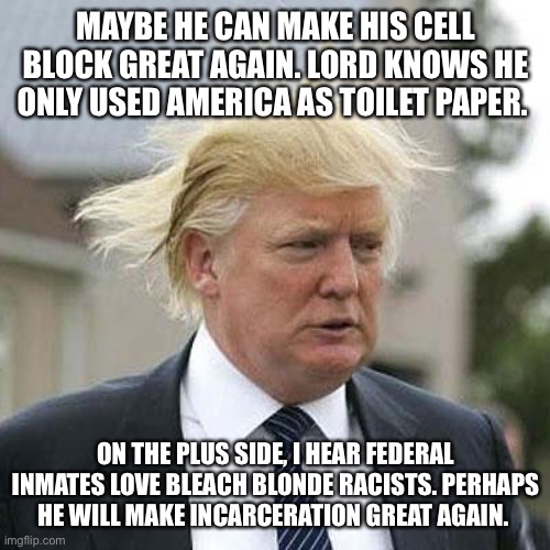 Donald Trump | MAYBE HE CAN MAKE HIS CELL BLOCK GREAT AGAIN. LORD KNOWS HE ONLY USED AMERICA AS TOILET PAPER. ON THE PLUS SIDE, I HEAR FEDERAL INMATES LOVE BLEACH BLONDE RACISTS. PERHAPS HE WILL MAKE INCARCERATION GREAT AGAIN. | image tagged in donald trump | made w/ Imgflip meme maker