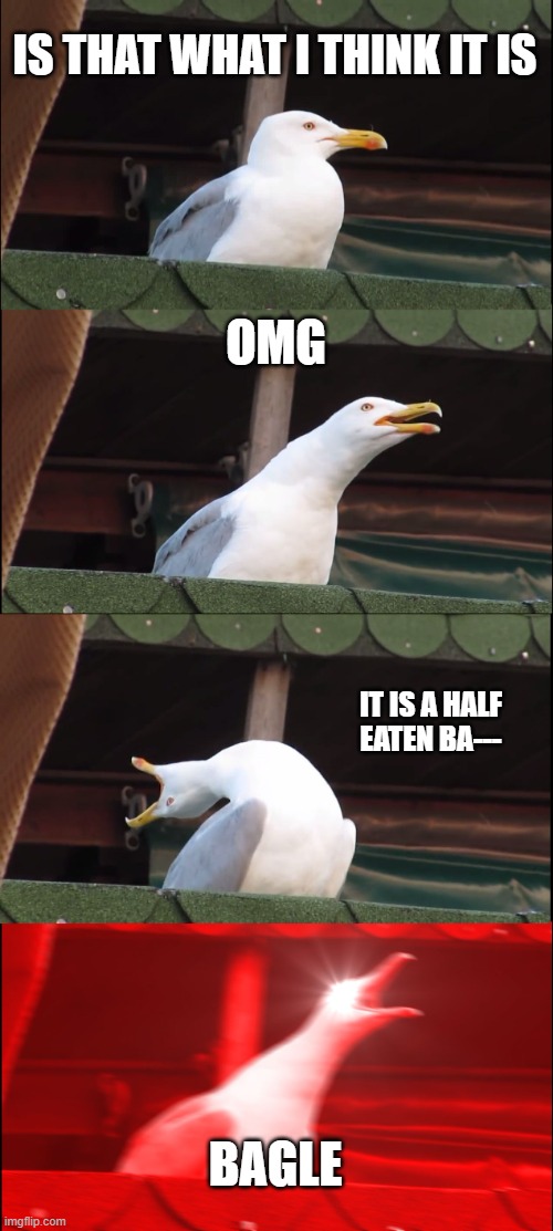 birds be like | IS THAT WHAT I THINK IT IS; OMG; IT IS A HALF EATEN BA---; BAGLE | image tagged in memes,inhaling seagull | made w/ Imgflip meme maker