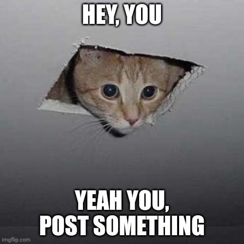 Ceiling Cat | HEY, YOU; YEAH YOU,
POST SOMETHING | image tagged in memes,ceiling cat | made w/ Imgflip meme maker