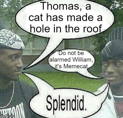 . | Thomas, a cat has made a hole in the roof; Do not be alarmed William, it's Memecat | image tagged in we sell crack splendid | made w/ Imgflip meme maker