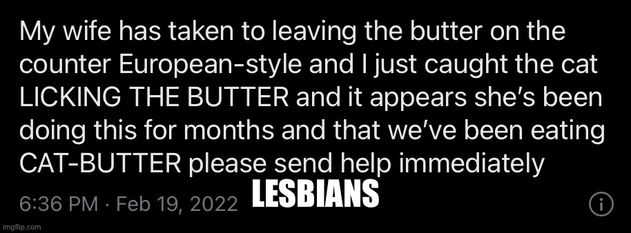 LESBIANS | made w/ Imgflip meme maker
