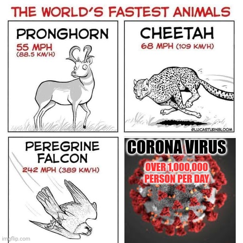 The world's fastest animals | CORONA VIRUS; OVER 1,000,000 PERSON PER DAY | image tagged in the world's fastest animals | made w/ Imgflip meme maker