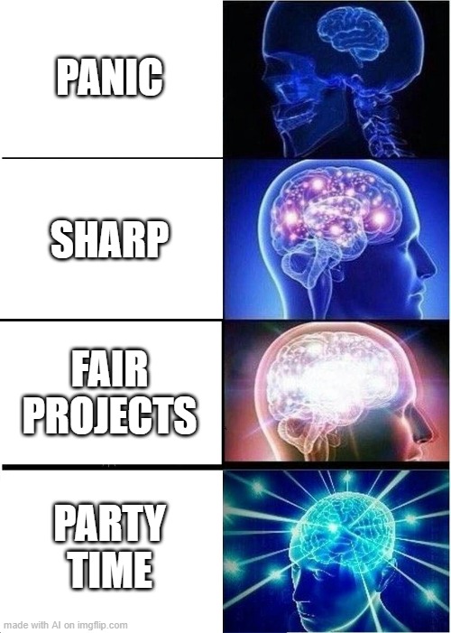 party time I guess | PANIC; SHARP; FAIR PROJECTS; PARTY TIME | image tagged in memes,expanding brain | made w/ Imgflip meme maker