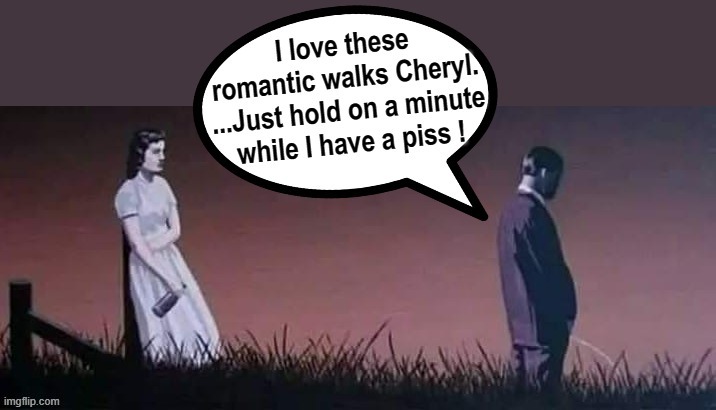 Romantic Evenings | image tagged in pissed off | made w/ Imgflip meme maker