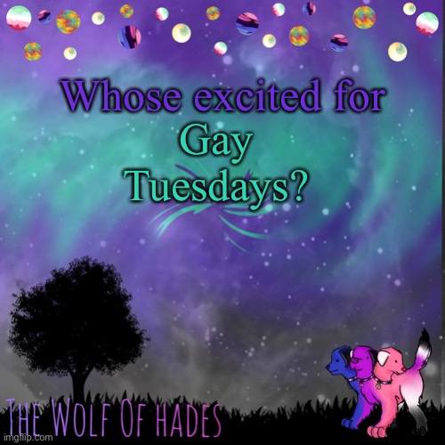 TheWolfOfHades announces crap V.694201723696969 | Whose excited for; Gay Tuesdays? | image tagged in thewolfofhades announces crap v 694201723696969 | made w/ Imgflip meme maker