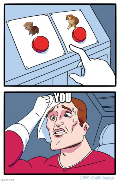 hard to choose | YOU | image tagged in memes,two buttons | made w/ Imgflip meme maker