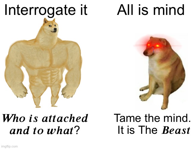 Buff Doge vs. Cheems Meme | Interrogate it All is mind ??? ?? ???????? ??? ?? ????? Tame the mind.
 It is The ????? | image tagged in memes,buff doge vs cheems | made w/ Imgflip meme maker