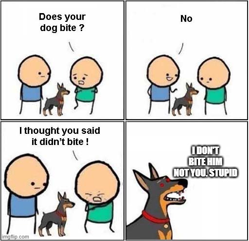 stopid howman | I DON'T BITE HIM NOT YOU. STUPID | image tagged in does your dog bite,stupid,memes,funny,crazy dawg,you have been eternally cursed for reading the tags | made w/ Imgflip meme maker