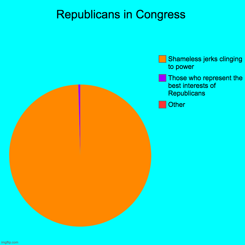 Or Trump looking directly at an eclipse  ( : | Republicans in Congress | Other, Those who represent the best interests of Republicans, Shameless jerks clinging to power | image tagged in pie charts,republicans,july 2022,trump lol,charts can be memes,memes | made w/ Imgflip chart maker