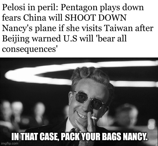 Would actually do America some good. | IN THAT CASE, PACK YOUR BAGS NANCY. | image tagged in doctor strangelove says | made w/ Imgflip meme maker