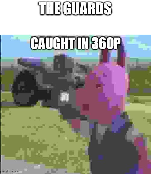 caught in 360p | THE GUARDS | image tagged in caught in 360p | made w/ Imgflip meme maker