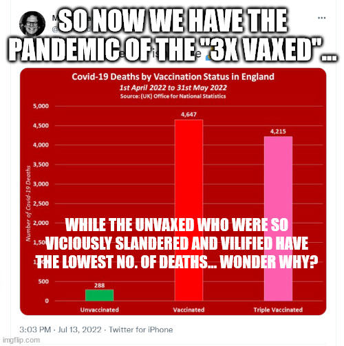 Vaxx deaths | SO NOW WE HAVE THE PANDEMIC OF THE "3X VAXED"... WHILE THE UNVAXED WHO WERE SO VICIOUSLY SLANDERED AND VILIFIED HAVE THE LOWEST NO. OF DEATHS... WONDER WHY? | image tagged in vaxx deaths | made w/ Imgflip meme maker