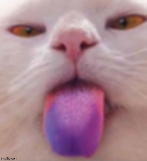 Gay | made w/ Imgflip meme maker