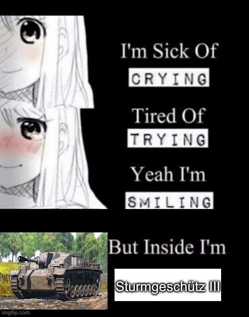 I'm Sick Of Crying | Sturmgeschütz III | image tagged in i'm sick of crying,stug iii | made w/ Imgflip meme maker