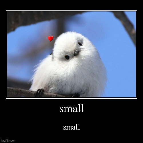 bord <3 | image tagged in funny,demotivationals,bord,smol | made w/ Imgflip demotivational maker