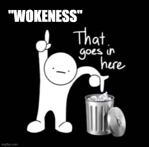 Taking Out The Trash 3 | "WOKENESS" | image tagged in that goes in here,memes,politics,cancel culture,so true memes,political correctness | made w/ Imgflip meme maker