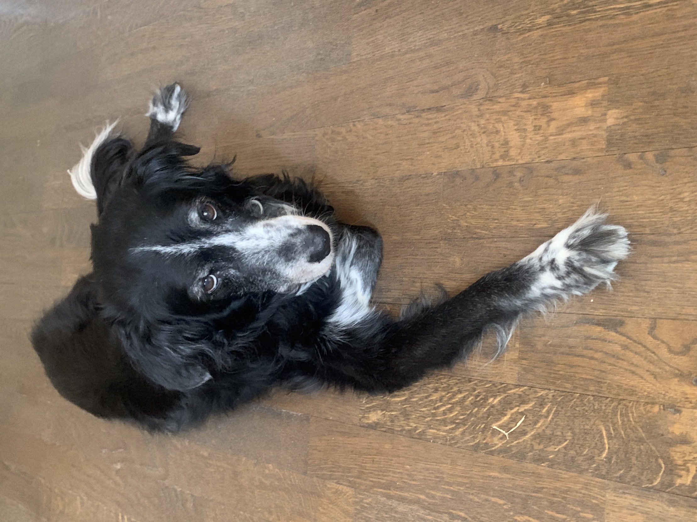 High Quality Inga Blank Meme Template