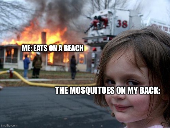 I hate this with my whole life | ME: EATS ON A BEACH; THE MOSQUITOES ON MY BACK: | image tagged in memes,disaster girl | made w/ Imgflip meme maker