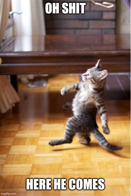 Walking Cat | OH SHIT HERE HE COMES | image tagged in walking cat | made w/ Imgflip meme maker