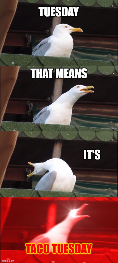 Inhaling Seagull Meme | TUESDAY THAT MEANS IT'S TACO TUESDAY | image tagged in memes,inhaling seagull | made w/ Imgflip meme maker