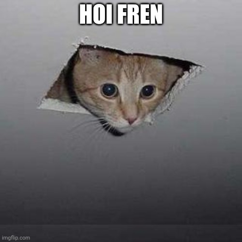 Ceiling Cat | HOI FREN | image tagged in memes,ceiling cat | made w/ Imgflip meme maker
