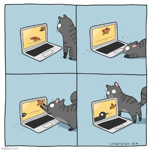 A Cat's Way Of Thinking | image tagged in memes,comics,cats,laptop,bird,playing | made w/ Imgflip meme maker