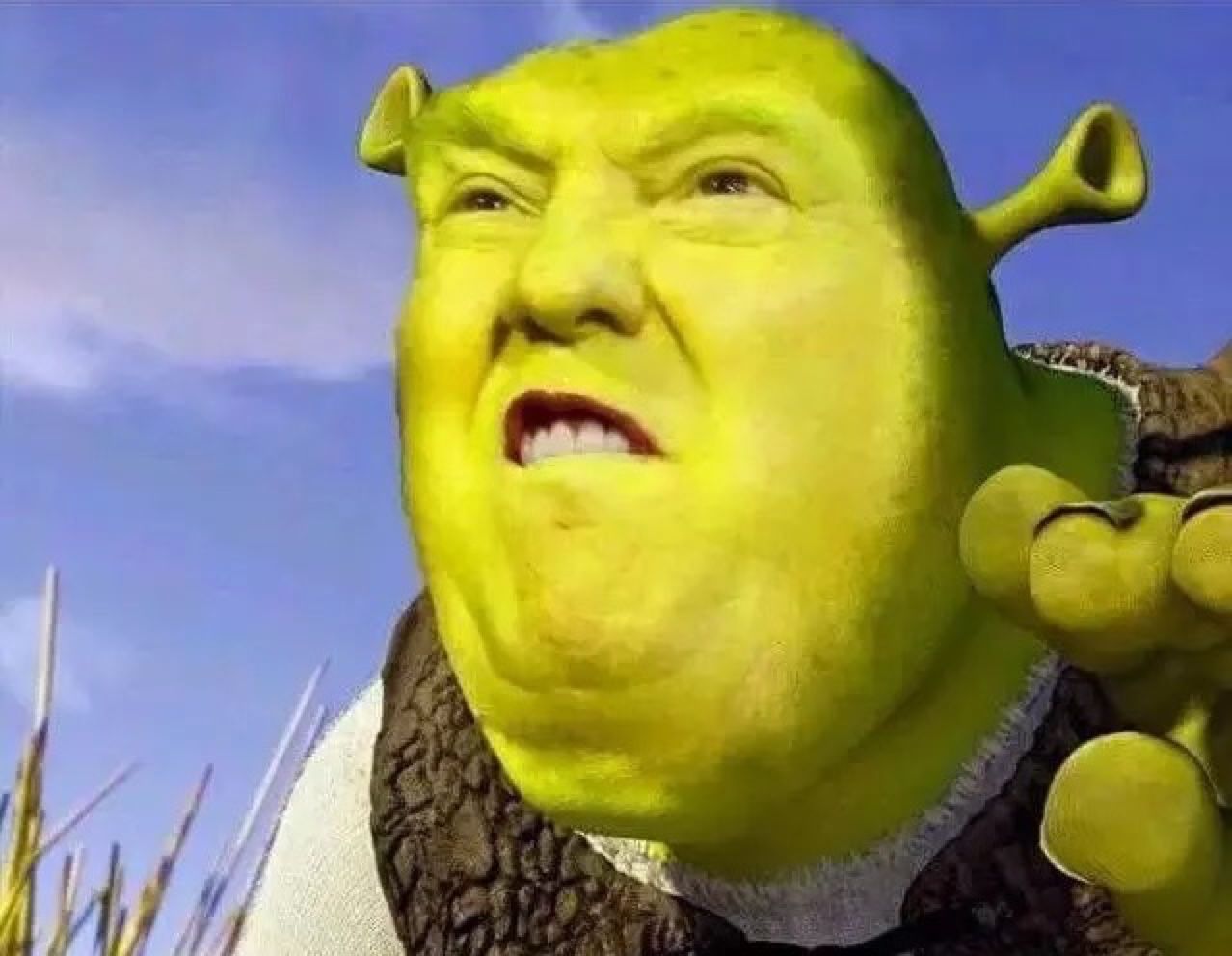 High Quality Dt Shrek Blank Meme Template