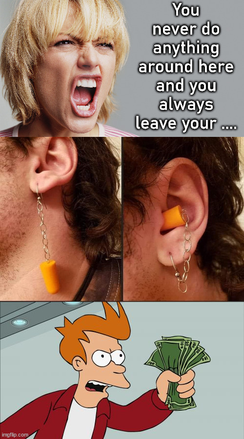 When she yells at you | You never do anything around here and you always leave your .... | image tagged in angry woman yelling,memes,shut up and take my money fry | made w/ Imgflip meme maker