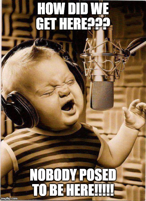 how did we get here | HOW DID WE GET HERE??? NOBODY POSED TO BE HERE!!!!! | image tagged in baby singer | made w/ Imgflip meme maker