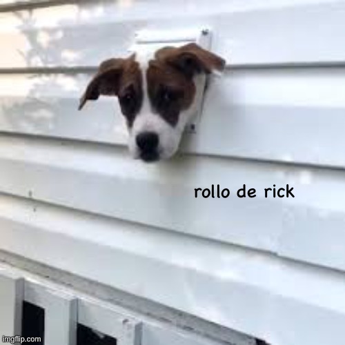 rollo de rick | made w/ Imgflip meme maker