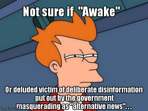 Futurama Fry | Not sure if  "Awake" Or deluded victim of deliberate disinformation put out by the government masquerading as "alternative news". . . | image tagged in memes,futurama fry | made w/ Imgflip meme maker