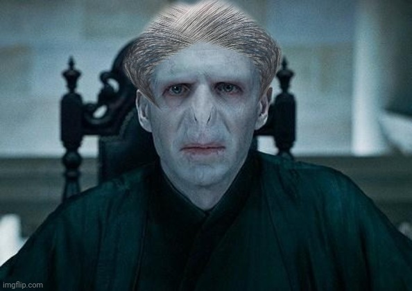 voldemort grew hair | image tagged in lord voldemort | made w/ Imgflip meme maker