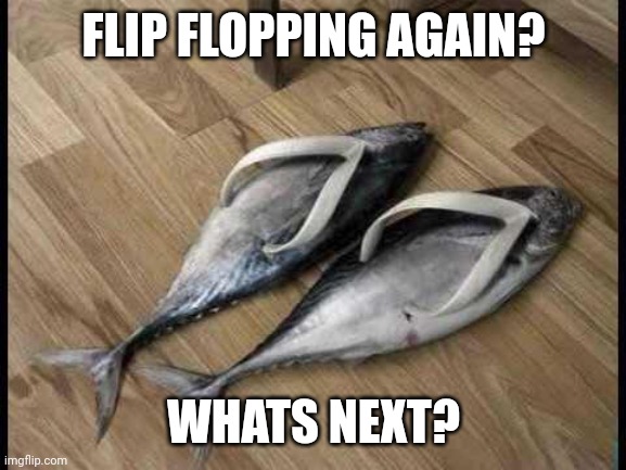 Fish Flops | FLIP FLOPPING AGAIN? WHATS NEXT? | image tagged in fish flops | made w/ Imgflip meme maker