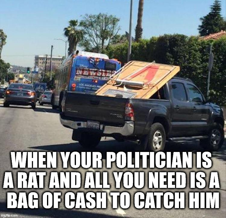 We need a whole bunch of these | WHEN YOUR POLITICIAN IS 
A RAT AND ALL YOU NEED IS A 
BAG OF CASH TO CATCH HIM | image tagged in political meme,rats,trap | made w/ Imgflip meme maker