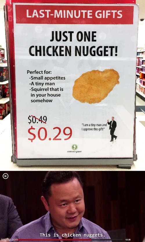 Fake product: Just one chicken nugget | image tagged in this is chicken nuggets,fake product,fake products,memes,chicken nugget,chicken nuggets | made w/ Imgflip meme maker