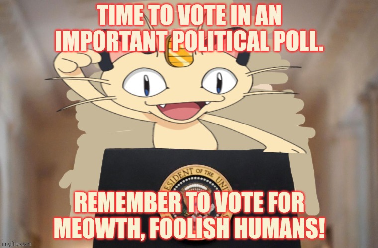 Tyme 2 voote | TIME TO VOTE IN AN IMPORTANT POLITICAL POLL. REMEMBER TO VOTE FOR MEOWTH, FOOLISH HUMANS! | image tagged in meowth party,voting is fun,polls | made w/ Imgflip meme maker