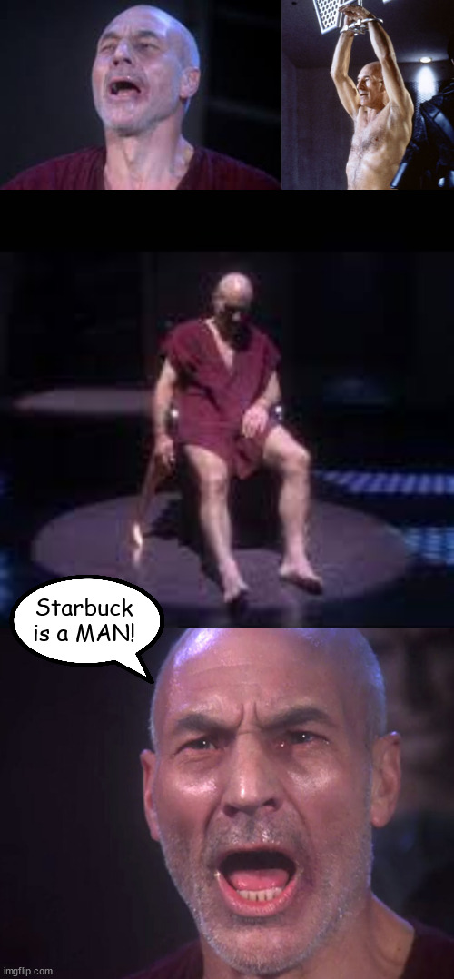 Stay Strong, Picard! | Starbuck is a MAN! | image tagged in battlestar galactica | made w/ Imgflip meme maker