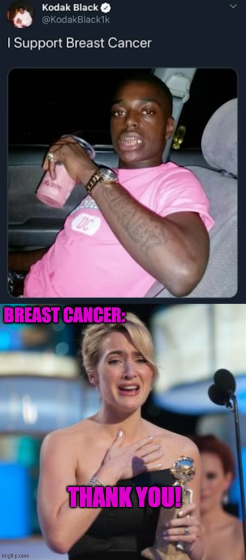 Such a wholesome tweet <3 | BREAST CANCER:; THANK YOU! | image tagged in thank you,twitter,memes,funny,dark humor | made w/ Imgflip meme maker