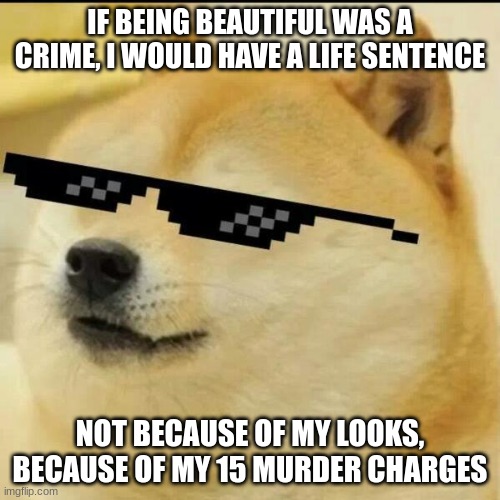 Sunglass Doge | IF BEING BEAUTIFUL WAS A CRIME, I WOULD HAVE A LIFE SENTENCE; NOT BECAUSE OF MY LOOKS, BECAUSE OF MY 15 MURDER CHARGES | image tagged in sunglass doge,funny,memes,doge | made w/ Imgflip meme maker