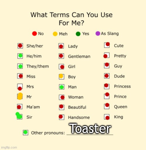 Pronouns Sheet | Toaster | image tagged in pronouns sheet,reeeeeeeeeeeeeeeeeeeeee | made w/ Imgflip meme maker