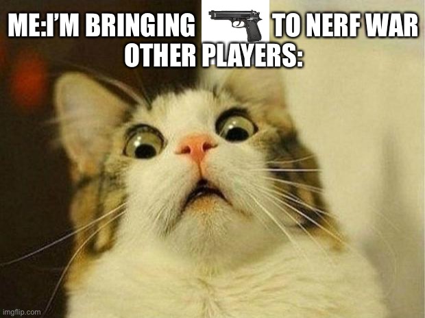 Nerf war meme | ME:I’M BRINGING               TO NERF WAR
OTHER PLAYERS: | image tagged in memes,scared cat | made w/ Imgflip meme maker