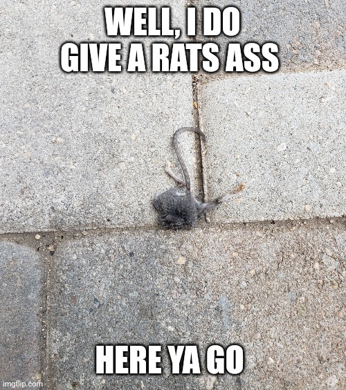 WELL, I DO GIVE A RATS ASS HERE YA GO | made w/ Imgflip meme maker