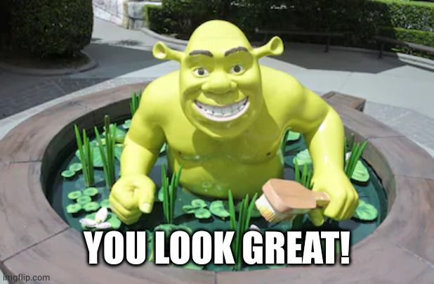 Shrek 5 looks great | YOU LOOK GREAT! | image tagged in shrek 5 looks great | made w/ Imgflip meme maker