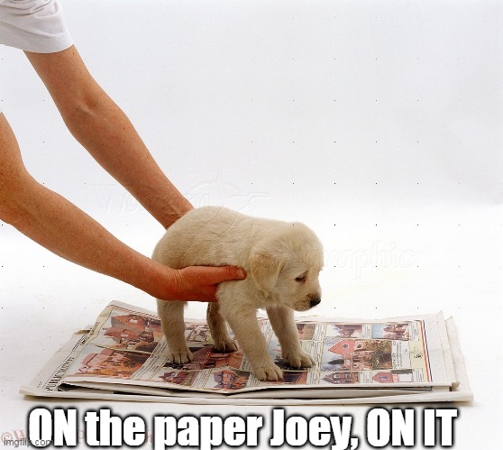 ON the paper Joey, ON IT | made w/ Imgflip meme maker