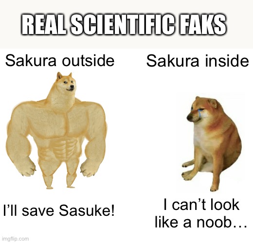 Real faks | REAL SCIENTIFIC FAKS; Sakura outside; Sakura inside; I’ll save Sasuke! I can’t look like a noob… | image tagged in memes,buff doge vs cheems,sakura,dumb,doge,noob | made w/ Imgflip meme maker