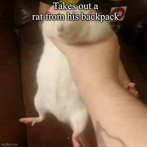 Grabbing a fat rat | Takes out a rat from his backpack | image tagged in grabbing a fat rat | made w/ Imgflip meme maker