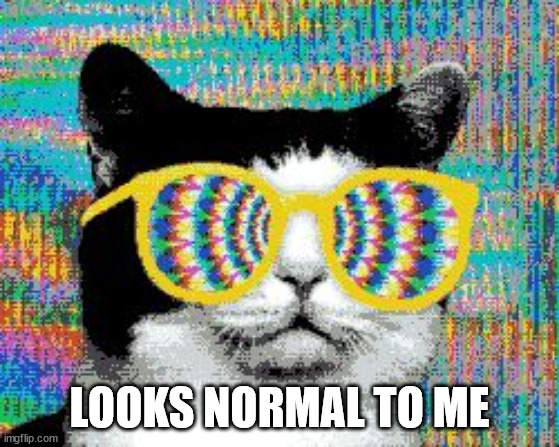 psychedelic cat | LOOKS NORMAL TO ME | image tagged in psychedelic cat | made w/ Imgflip meme maker