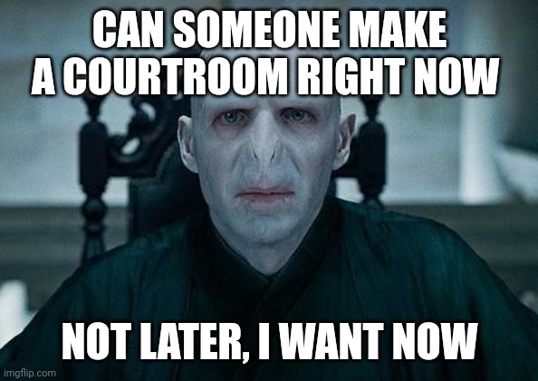 Lord Voldemort | CAN SOMEONE MAKE A COURTROOM RIGHT NOW; NOT LATER, I WANT NOW | image tagged in lord voldemort | made w/ Imgflip meme maker