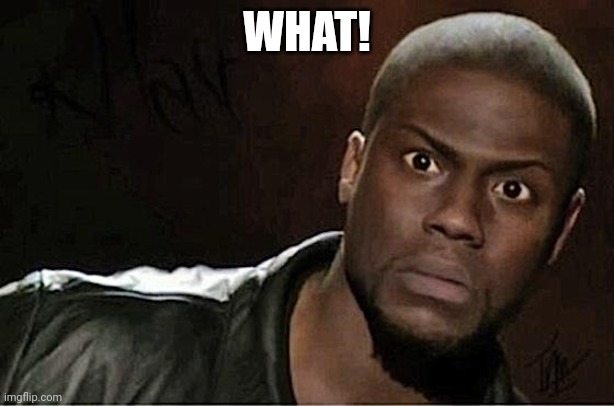 Kevin Hart Meme | WHAT! | image tagged in memes,kevin hart | made w/ Imgflip meme maker