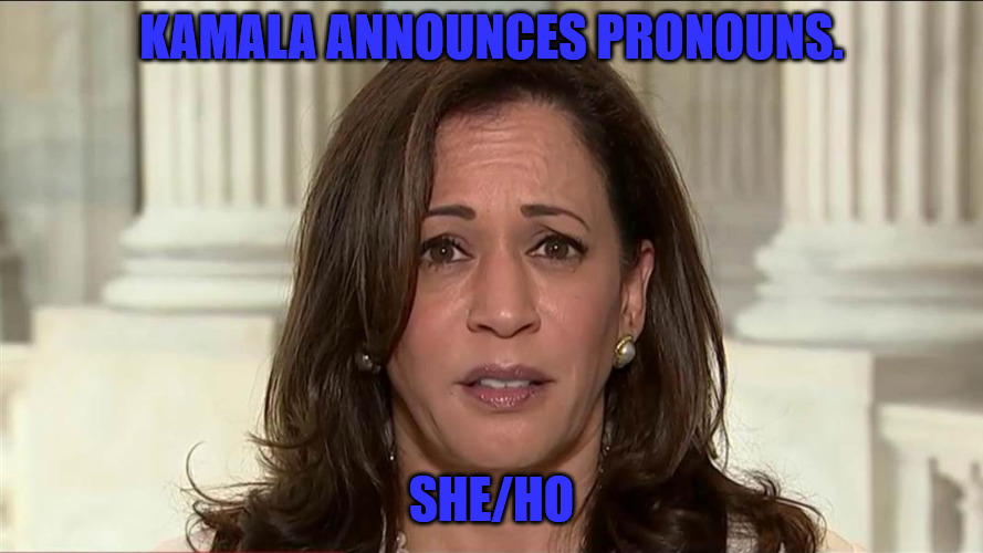 Kamala's Pronouns | KAMALA ANNOUNCES PRONOUNS. SHE/HO | image tagged in kamala harris | made w/ Imgflip meme maker